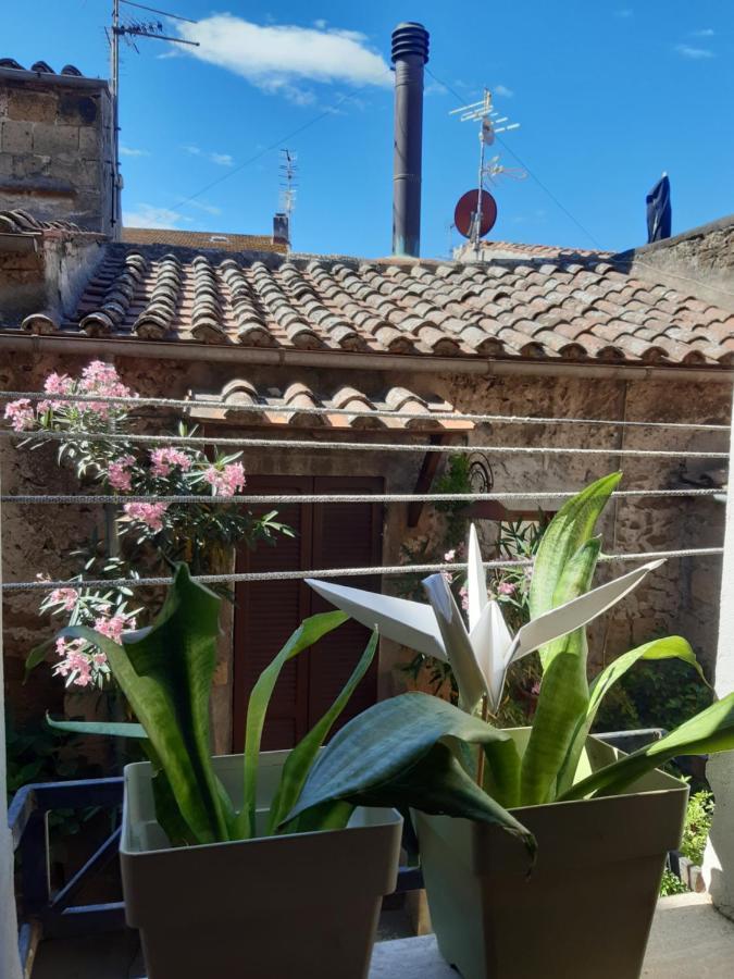 Casa Il Girasole Pitigliano Apartamento Exterior foto