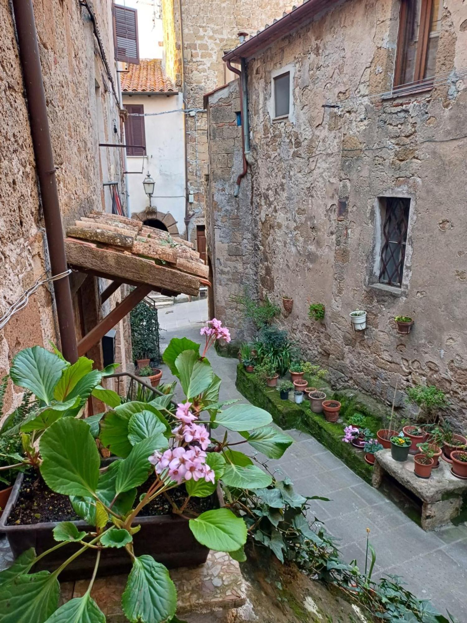 Casa Il Girasole Pitigliano Apartamento Exterior foto